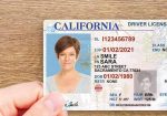 Get your Travel Documents from US: https://steadychasers.online/product-category/id-passport-license-others/